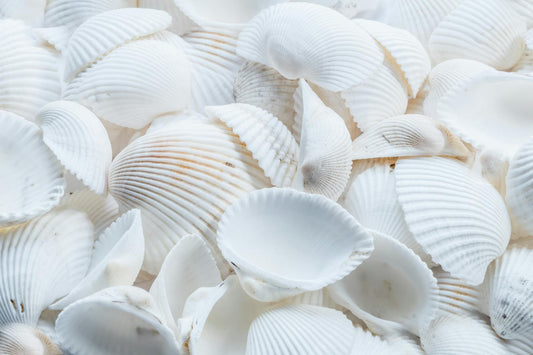The Benefits of Glucosamine Sulfate: A Key to Joint Health