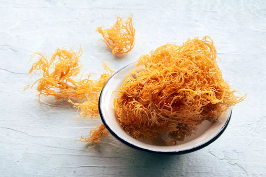 Discover the Secret of Sea Moss: The Superfood for Immune Support and Thyroid Health