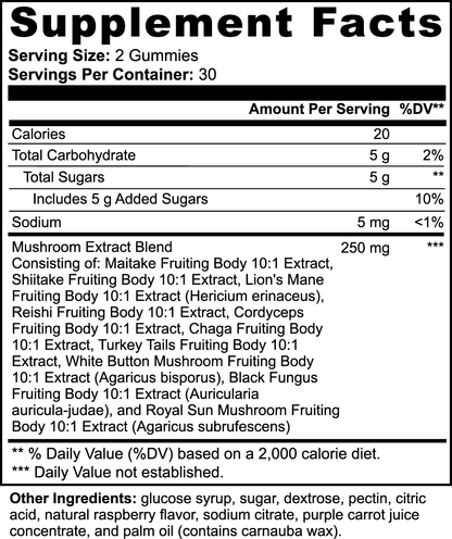 Premium Mushroom Extract Gummies